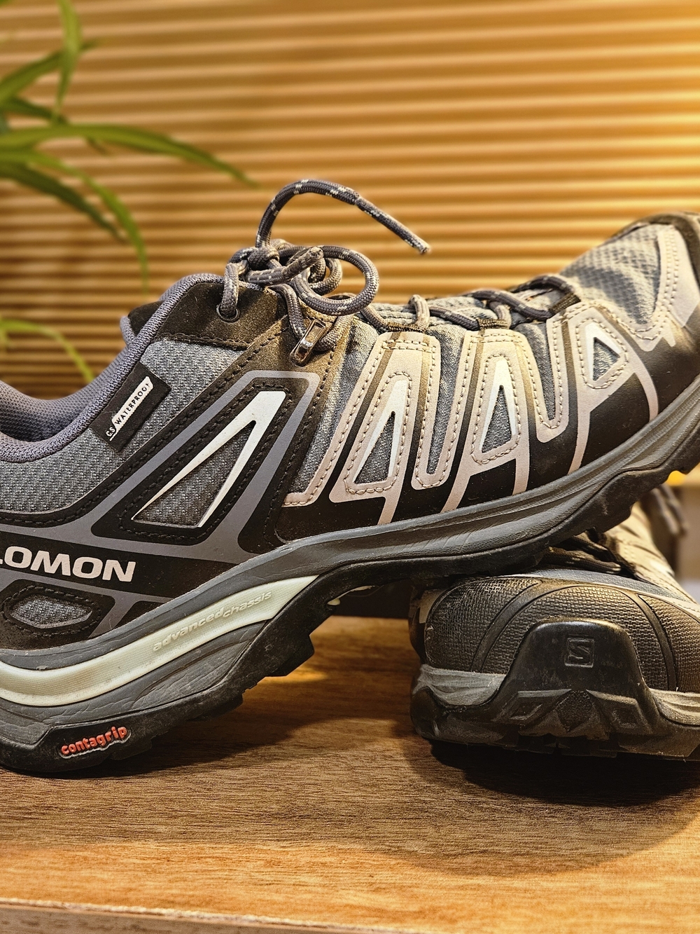 Salomon X Ultra Pioneer GTX Stormy - Picture 7 of 7
